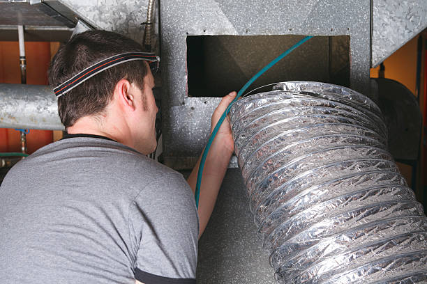 Best Air Duct Mold Removal  in Hamilton City, CA