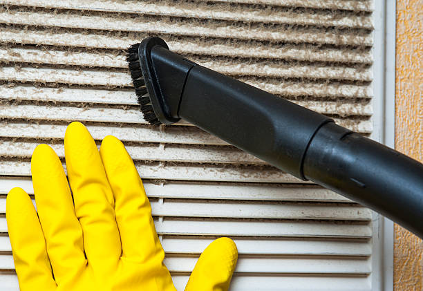 Best Home Air Vent Cleaning  in Hamilton City, CA